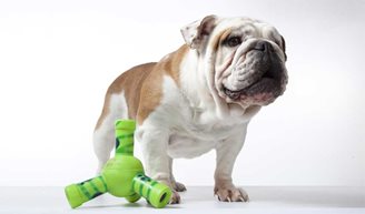 Top 5 Ingenious Pet Gadgets